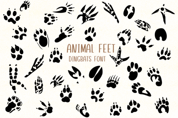 Animal Feet: The Dingbat Font That Adds Instant Personality to Any Project