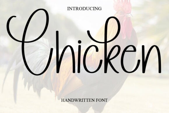 Embracing Warmth: The Versatile Charm of the Chicken Font