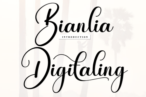 Integrating Bianlia Digitaling: A Practical Guide to Elevating Your Visual Workflow